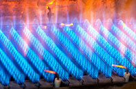 Jameston gas fired boilers